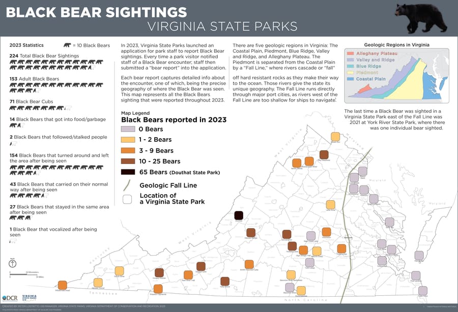 Bear Map